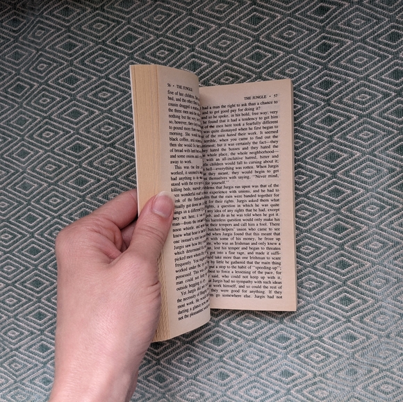 The Jungle by Upton Sinclair - Picture 4 of 6